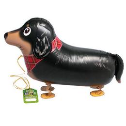 Tacskó (50 cm, sétáló lufi)