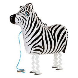 Zebra (64 cm, sétáló lufi)